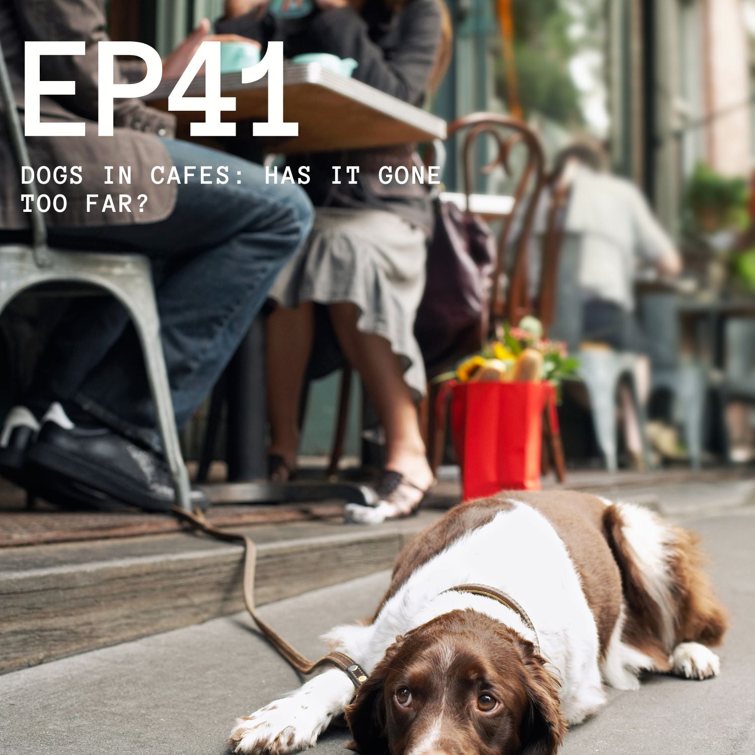 Episode 41 - Dogs in Cafes: Has It Gone Too Far?
