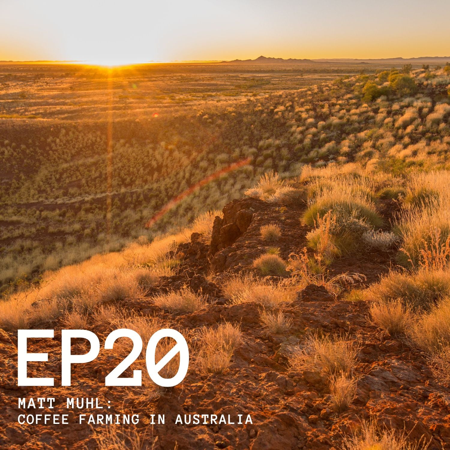 Episode 20 - Matt Muhl: Coffee Farming in Australia