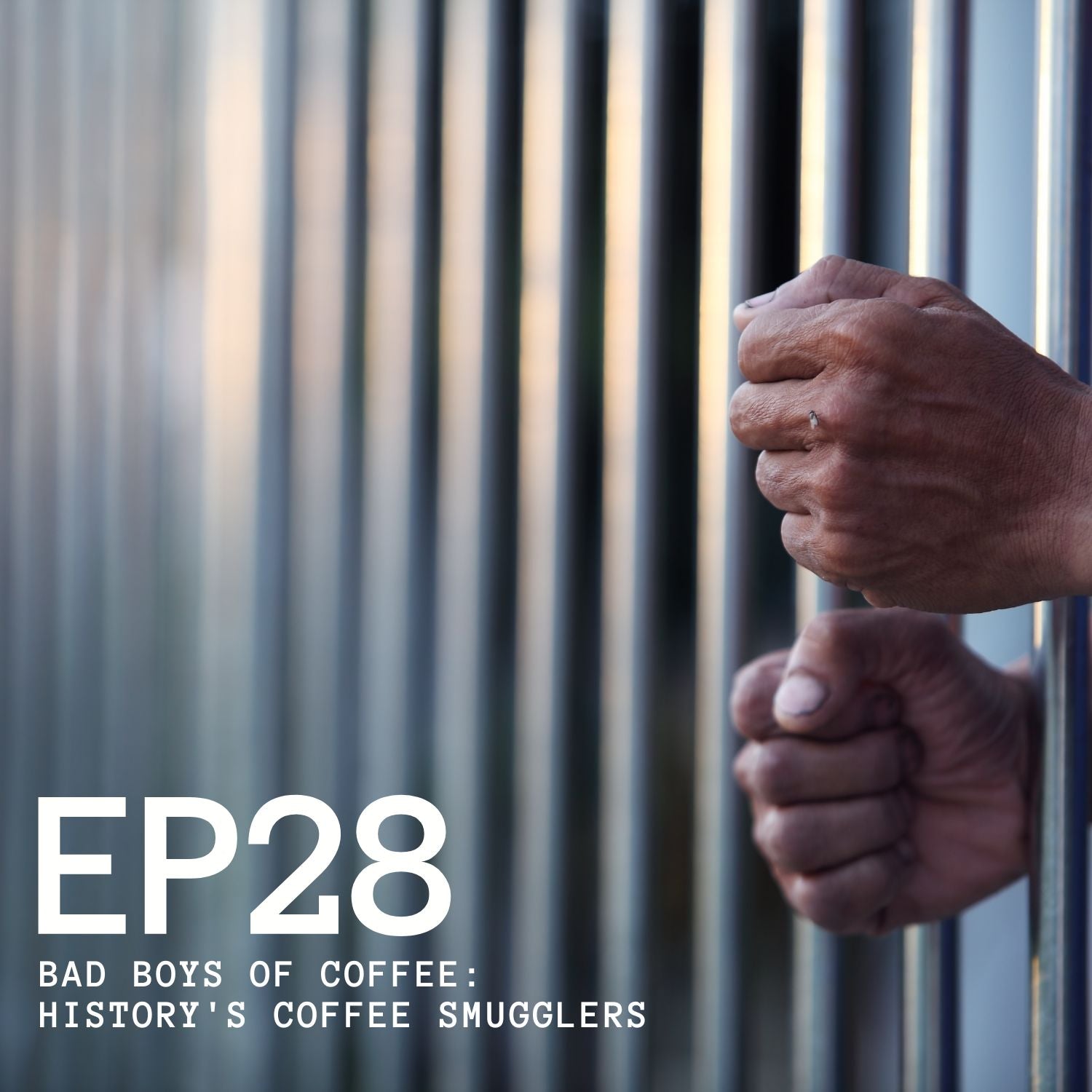 Episode 28 - Bad Boys of Coffee: History's Coffee Smugglers