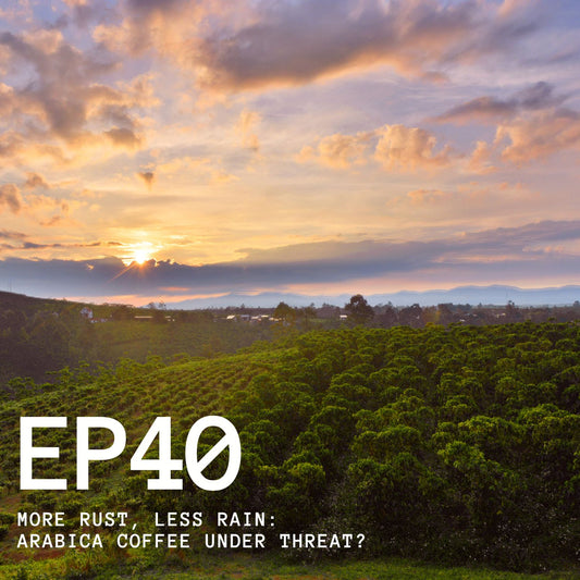 Episode 40 - More Rust, Less Rain: Arabica Coffee Under Threat?