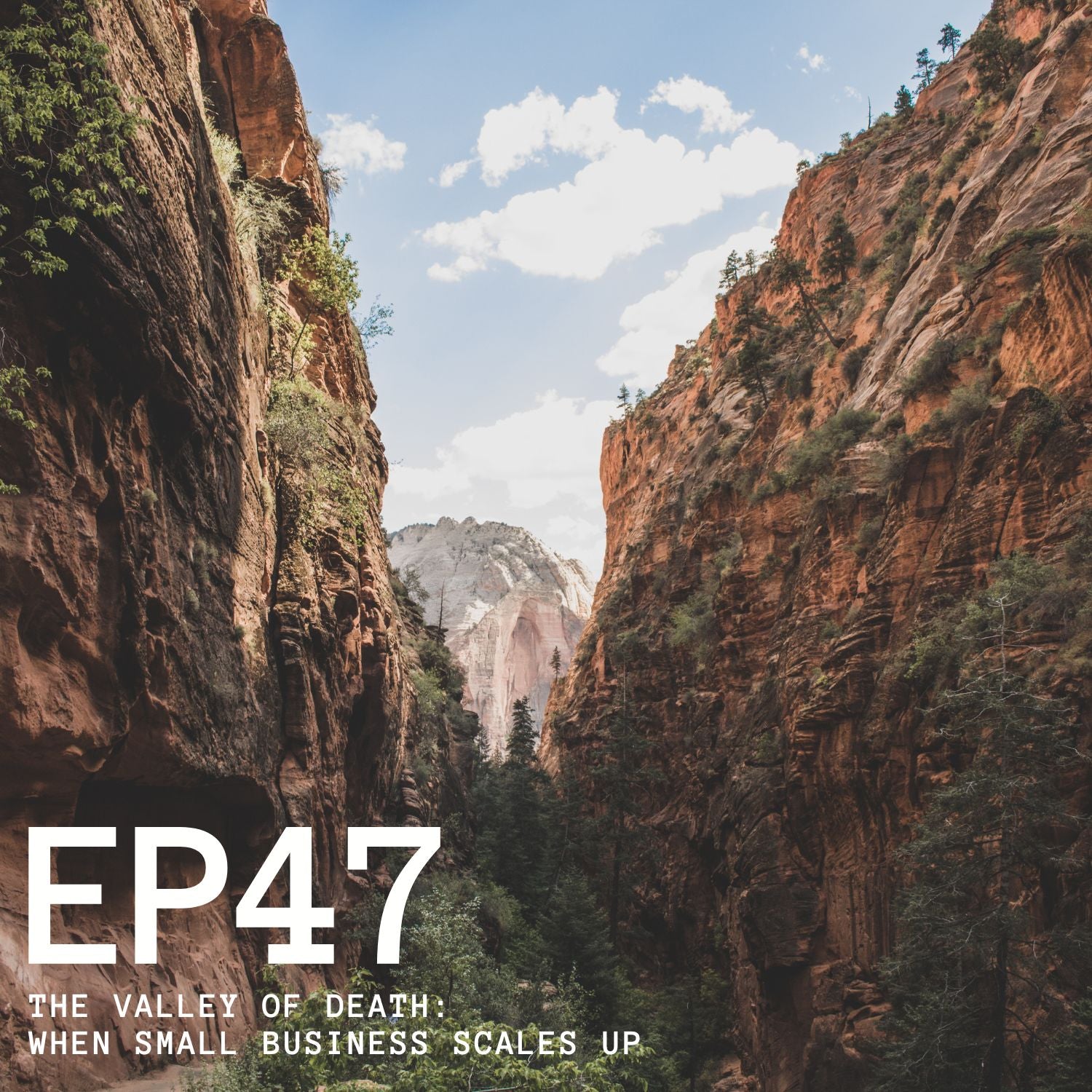 Episode 47 - The Valley of Death: When Small Business Scales Up